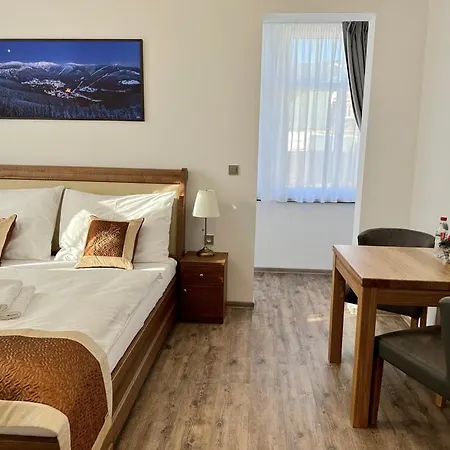 Apartmanhotel Synek