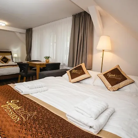 Lägenhetshotell Synek