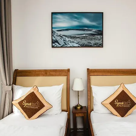 Synek Hotel apartamentowy