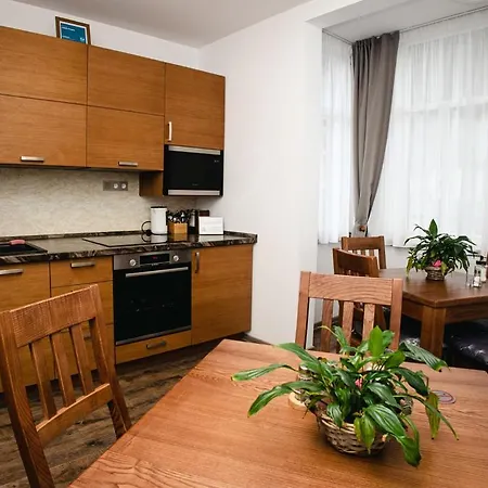 Apart-hotel Synek 4*