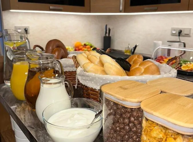 公寓式酒店 Synek 4*