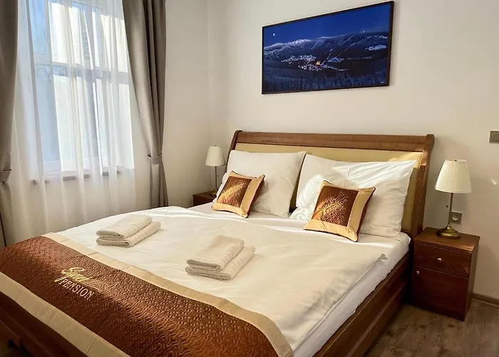 Synek 아파트호텔 4*