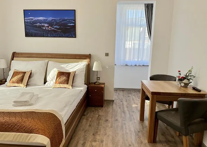 아파트호텔 Synek