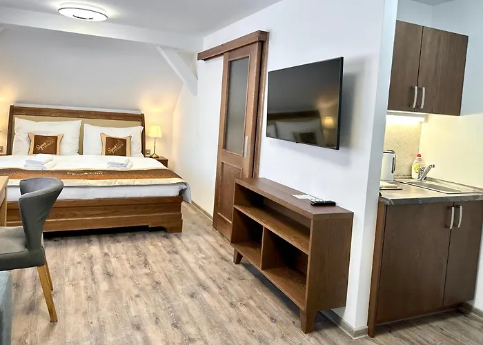 Synek 公寓式酒店