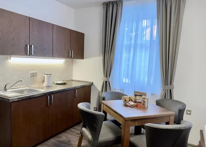 شقة فندقية Synek 4*