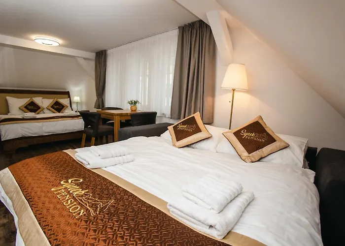 아파트호텔 Synek