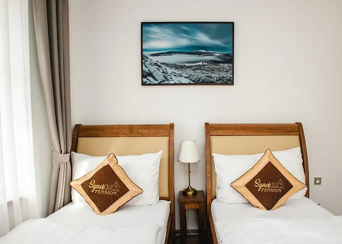 Synek 아파트호텔