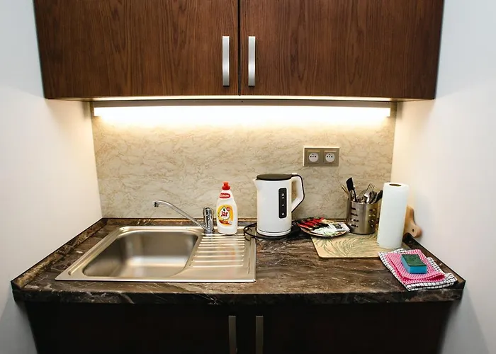 Synek شقة فندقية