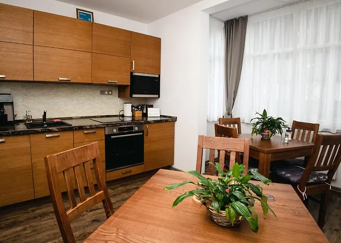 شقة فندقية Synek 4*